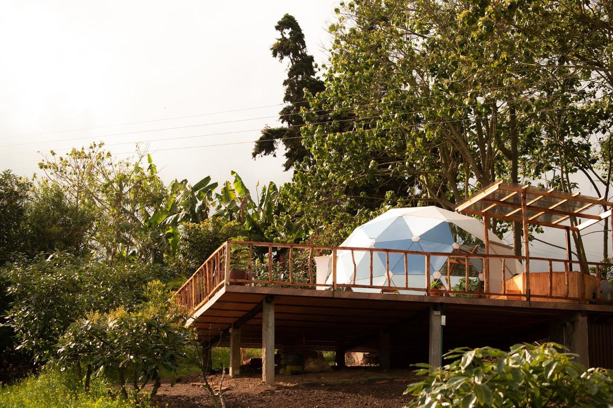 Wallaby Glamping Silvania Exterior foto